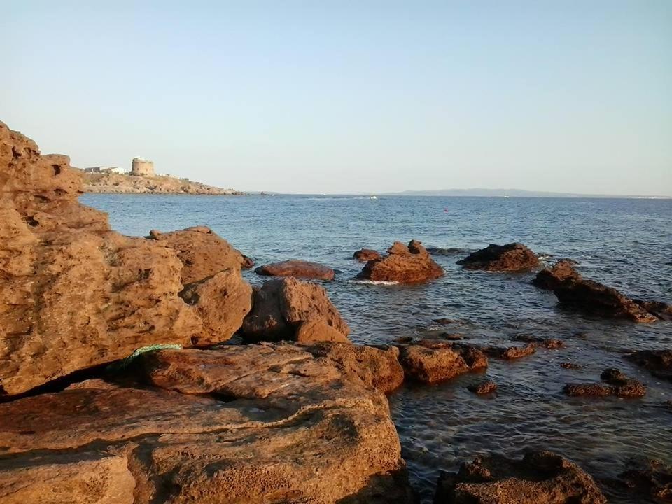 B&B Il Rifugio Del Lupo - E6721 Paringianu Εξωτερικό φωτογραφία
