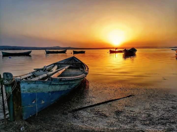 B&B Il Rifugio Del Lupo - E6721 Paringianu Εξωτερικό φωτογραφία