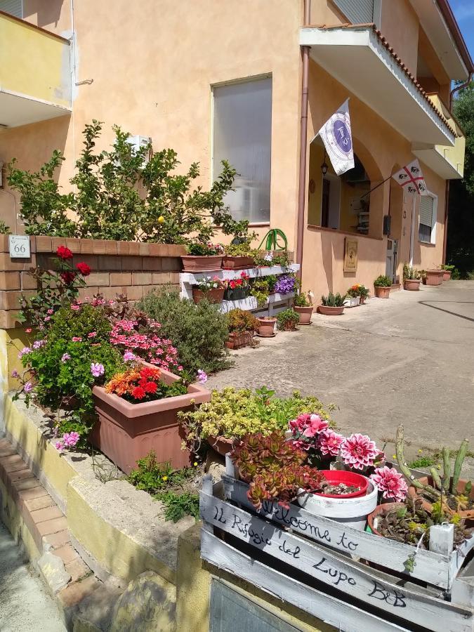 B&B Il Rifugio Del Lupo - E6721 Paringianu Εξωτερικό φωτογραφία
